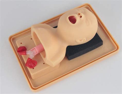 Buy Gkply Oral Nasal Intubation Manikin Tracheal Intubation Training