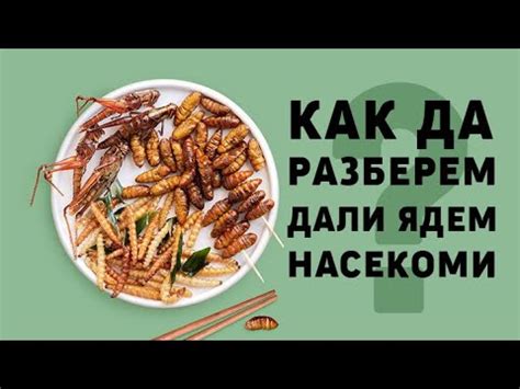 Как да разберем дали има насекоми в храната ни? - YouTube