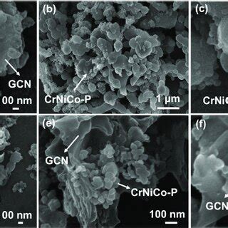 Fe Sem Images Of A Gcn B And C Crnico P And D F Crnico P Gcn