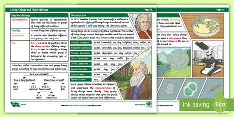 Knowledge Organiser Living Things And Their Habitats Year