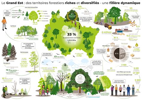 Fibois Grand Est Fili Re For T Bois Du Grand Est En Cartes Et En