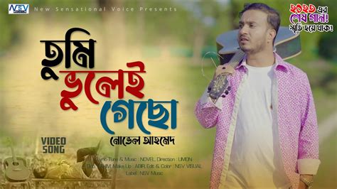 Tumi Vulei Gecho New Bangla Song 2024 তুমি ভুলেই গেছো Novel Ahmed