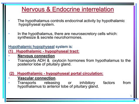 Introduction To Endocrine System And Pituitary Gland Ppt