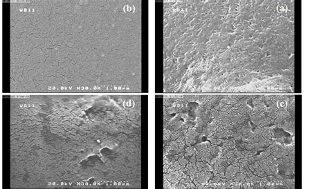 The Effect Of Plasticizers On Mechanical Properties And Water Vapor