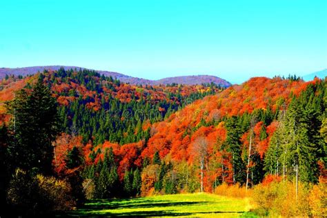 Herbstmorgen Im Berg Der Siebenbürgen Naturreise Auf Der Landseite