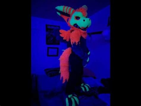 Poe The Grumpy Dutch Angel Dragon Fursuit Unboxing Youtube