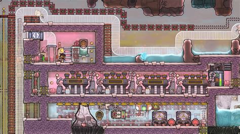 Buy Cheap Oxygen Not Included Complete Bundle CD Key Best Price