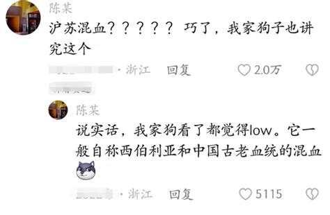 “上海以外的人都没出息”，女大学生的迷惑发言，引得网友众怒室友地域家长