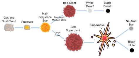 Life Cycle Of A Star Worksheets Questions And Revision Mme