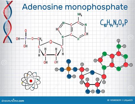 Adenosine Monophosphate Molecule It Is An Ester Of Phosph Stock