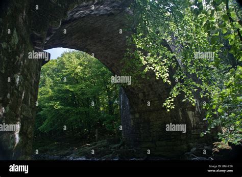 The Arch Of New Bridge Dartmoor Devon Stock Photo Alamy