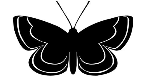 Butterfly Silhouettes Stock Vector 32690182 Shutterstock On Butterfly Images Underarmor