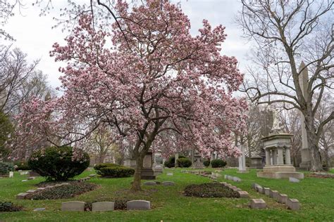 5 Reasons to Visit Lake View Cemetery in Cleveland