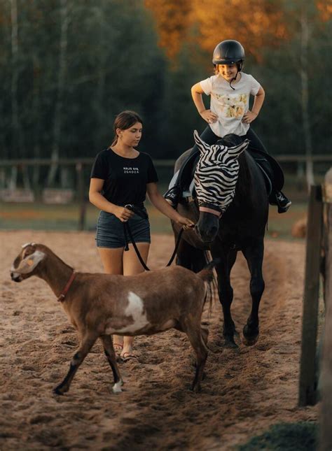 Stajnia Pod Lasem Stajnia Pod Lasem Rekreacja Kona Hipoterapia