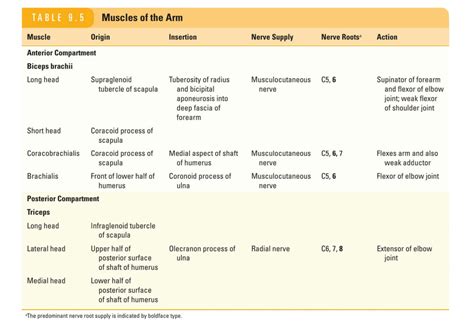 Solution Snell All Muscles Of Upper Limb Lower Limb And Thorax