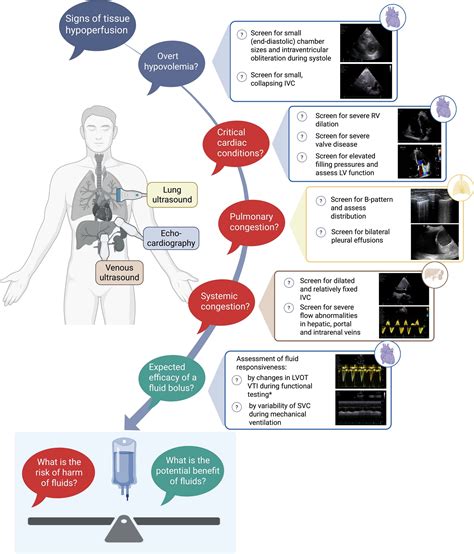 How we use ultrasound to support clinical decisions on fluid