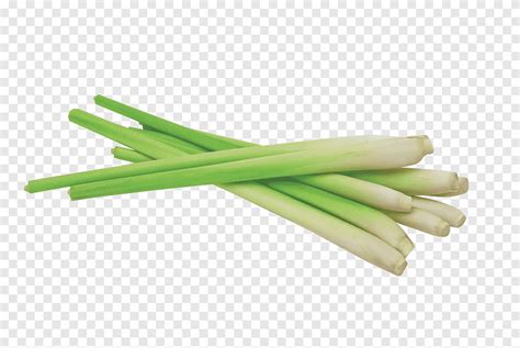 Cymbopogon Citratus Minyak Esensial Senyawa Lemon Aroma 100 Alami