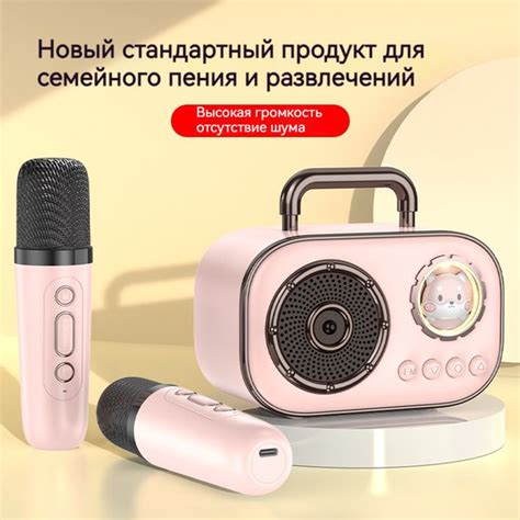 Караоке-система 2024 новые продукты Подарки для детей 2 микрофон ...
