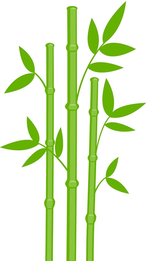 Bamboo Png Images Transparent Background Png Play Images And Photos