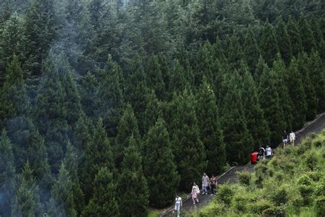 Multimídia China Emite Diretrizes Para Acelerar Transição Verde No Desenvolvimento Econômico E