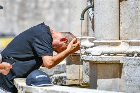 Slobodna Dalmacija Je Li Vrijeme Da Po Nemo Pani Ariti Znanstvenici