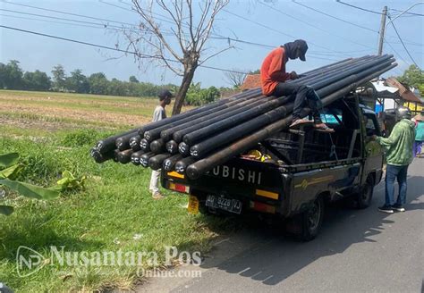 Pemasangan Tiang Kabel Internet Pt Nepal Bina Mandiri Di Jombang