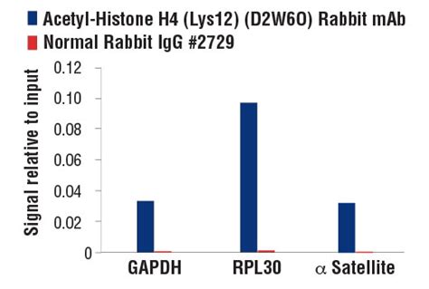 Acetyl Histone H4 Antibody Sampler Kit Cell Signaling Technology