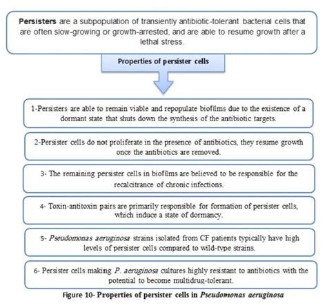 Pseudomonas aeruginosa and the multifactorial antibiotic resistance | Download Scientific Diagram