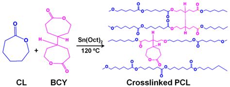 Polymers Free Full Text Hydrolytic Degradation Of Porous