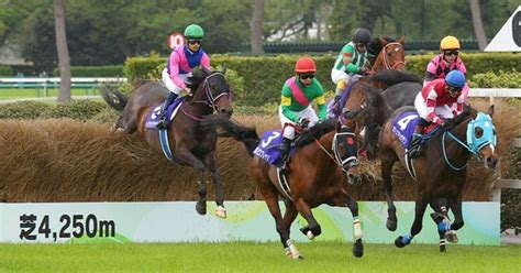 ＜アーリントンカップ・中山グランドジャンプ・やまびこステークス本命・対抗・穴馬予想＞｜ヒシミラクル｜note