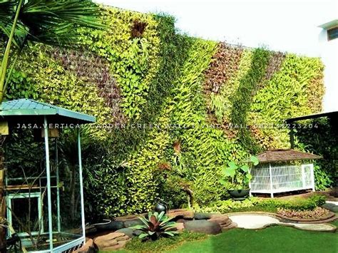 Berikut Ini 21 Contoh Gambar Vertical Garden Dinding Hijau Jasa