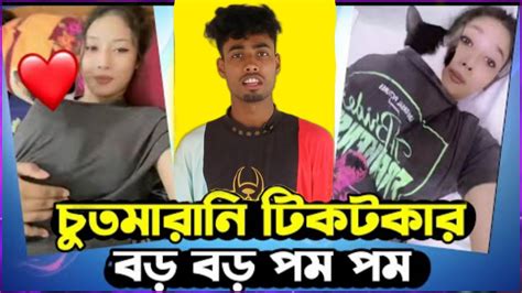 বড় বড় দু ধের উপর বিড়াল 😁 Pom Pom Bilai Roast X Tiktok Video Roast Youtube