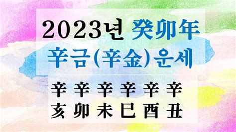 2023년 신금辛金일간 일주별 운세 소혜사주 Youtube