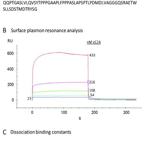 Dysferlin And Annexin A2 Detected With 3 3 Diaminobenzidine DAB