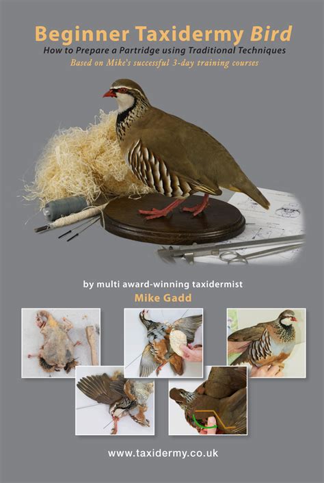 Beginner Bird Taxidermy Training Book Uk Bird Small Mammal