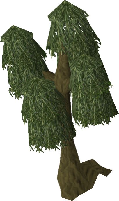 Image Willow Tree Old Png Runescape Wiki Fandom Powered Runescape