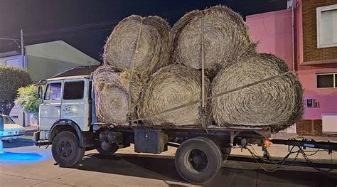 Infracción a un camión que transitaba cargado de fardos de pasto