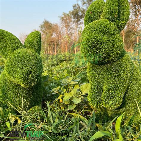 Large Rabbit Topiary Artificial Turf Artificial Grass Revturf