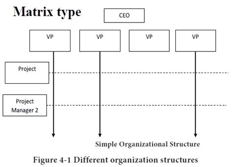 Types Of Organization Structures Strategic Business Unit And Functional Level Strategies