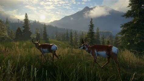 Купить TheHunter Call of the Wild Silver Ridge Peaks | DLC: отзывы ...