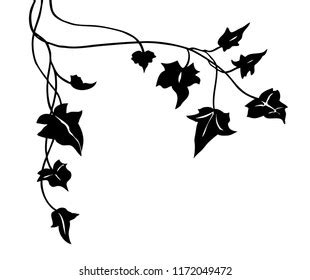 Ivy Black White Photos and Images & Pictures | Shutterstock