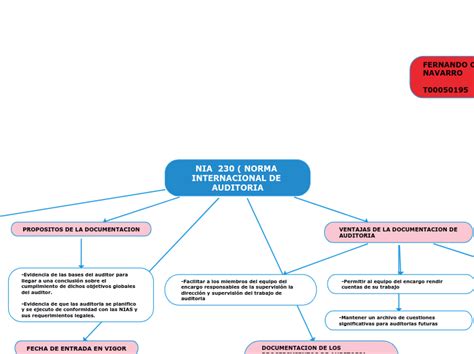 Mapa Conceptual Norma Internacional De Auditoria Evidencia De The