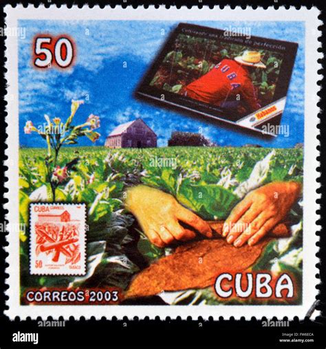 Cuba Circa A Stamp Printed In Cuba Dedicated To Cuban Cigars