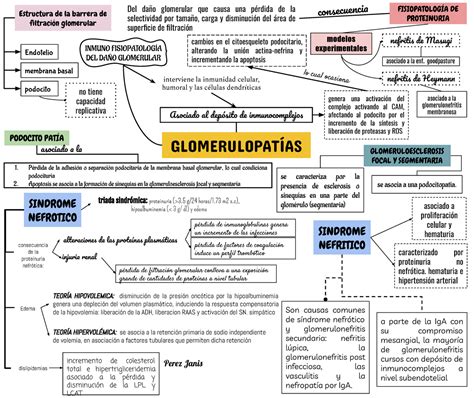 Glomerulopatias Mapa Conceptual De Fisiopatologia The Best Porn Website