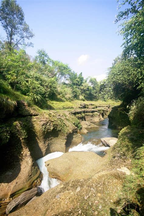 Davis Fall Stock Image Image Of Plunge Moss Pokhara 42028455