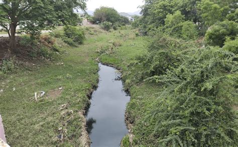 Aguas Negras Contaminan Arroyo En Escuinapa