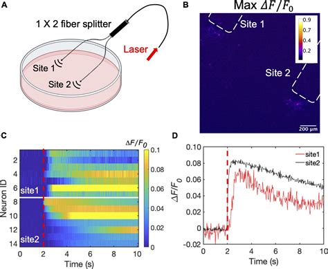 Frontiers High Precision Neural Stimulation By A Highly Efficient