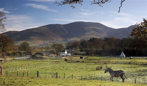 The Lake District Wildlife Park - Bassenthwaite - Visit Lake District