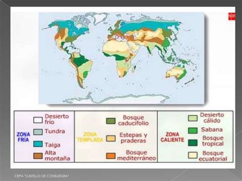 Tema Dinamica Ecosistemas Grandes Biomas Ppt