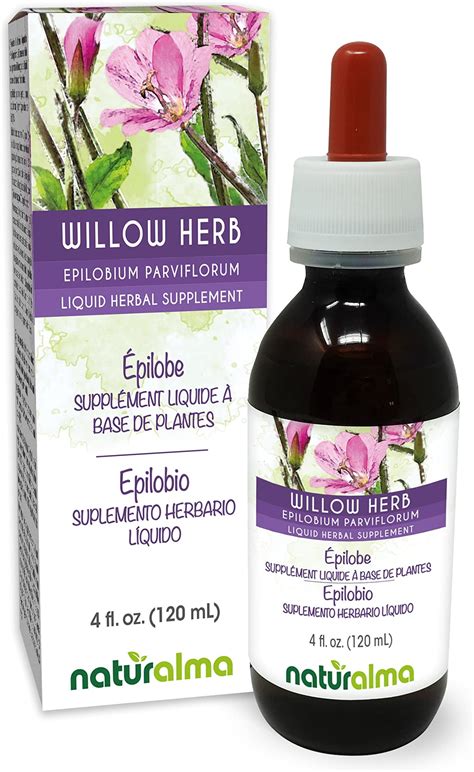 Amazon Naturalma Willow Herb Or Fireweed Epilobium Parviflorum